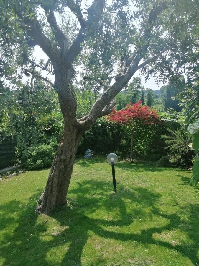 Casa Laghetto Villa Castellaro  Eksteriør bilde